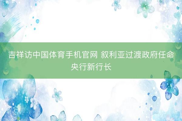 吉祥访中国体育手机官网 叙利亚过渡政府任命央行新行长