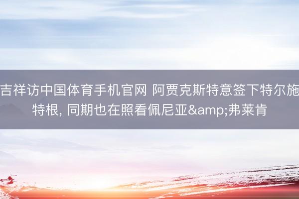 吉祥访中国体育手机官网 阿贾克斯特意签下特尔施特根， 同期也在照看佩尼亚&弗莱肯