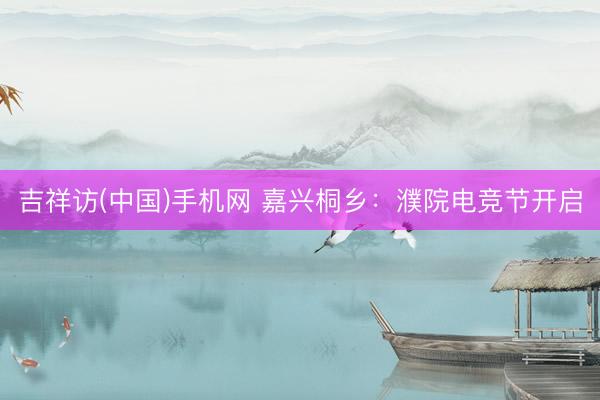 吉祥访(中国)手机网 嘉兴桐乡：濮院电竞节开启