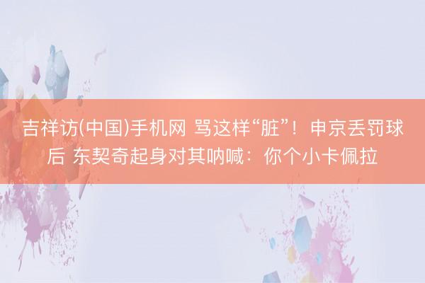 吉祥访(中国)手机网 骂这样“脏”！申京丢罚球后 东契奇起身对其呐喊：你个小卡佩拉