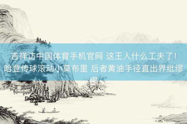 吉祥访中国体育手机官网 这王人什么工夫了！哈登传