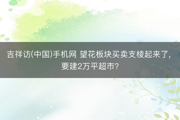 吉祥访(中国)手机网 望花板块买卖支棱起来了， 要建2万平超市?