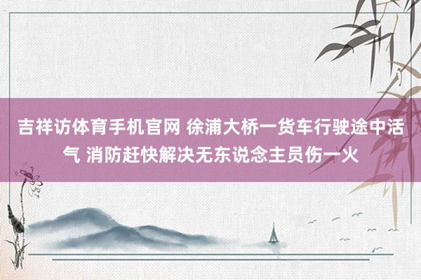 吉祥访体育手机官网 徐浦大桥一货车行驶途中活气 消防赶快解决无东说念主员伤一火